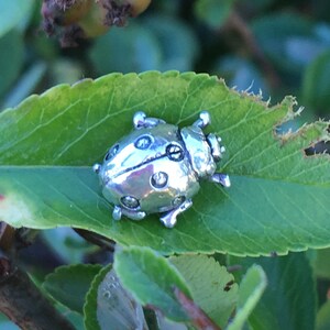 Ladybird Beetle Ornament - Ladybird Beetle Figurine - Sterling Silver Ladybug - Nature Inspired Wildlife Jewellery by Emma Keating