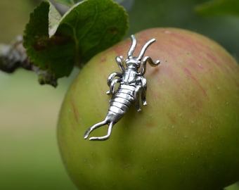 Sterling Silver Lapel Pin - Life-size Earwig Beetle Brooch - Beetle Pin - Handmade Nature Inspired Wildlife Jewellery by Emma Keating