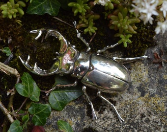 Stag Beetle Brooch - Sterling Silver Insect Brooch  - Life-size Sterling Silver Beetle - Wildlife Jewellery by Emma Keating