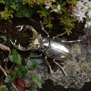 Stag Beetle Brooch - Sterling Silver Insect Brooch  - Life-size Sterling Silver Beetle - Wildlife Jewellery by Emma Keating