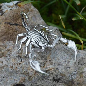 Scorpion Ornament - Scorpio Gifts - Yellow-Tailed Scorpion Figurine - Handmade Nature Inspired Wildlife Jewellery by Emma Keating