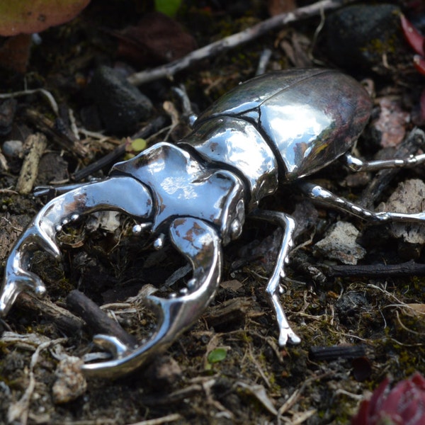 Stag Beetle Ornament - Sterling Silver Stag Beetle Figurine - Life Size Silver Insect - Nature Inspired Wildlife Jewellery by Emma Keating