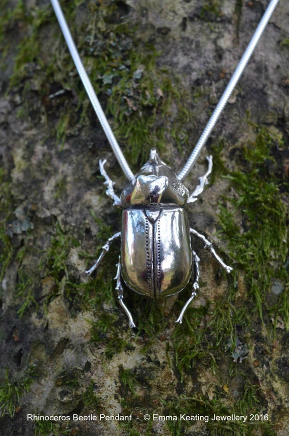 Praying Mantis Käfer Insekt - Kostenloses Foto Auf