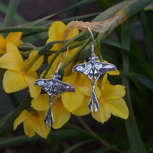 Moth Earrings - Luna Moth Earrings - Moon Moth Earrings - Dangle or Stud - Insect Earrings - Wildlife Jewellery by Emma Keating