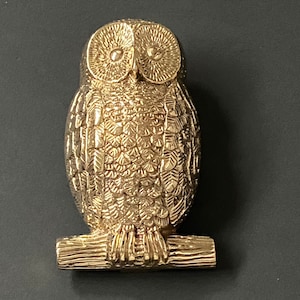 May include: A gold owl door knocker with detailed feathers and a textured branch base.