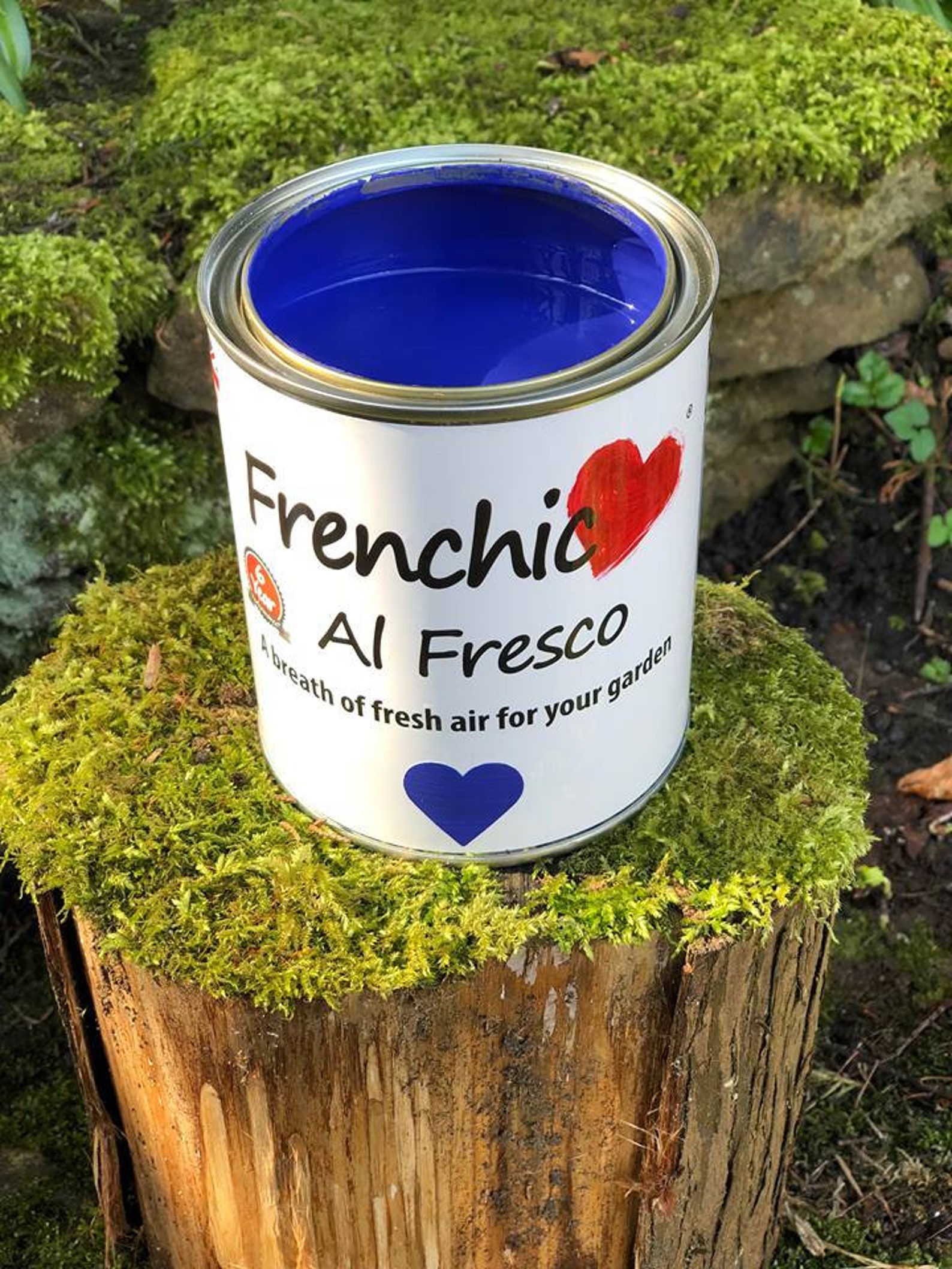 Frenchic Al Fresco Chalk and Mineral Paint 150ml Sample Pot Etsy