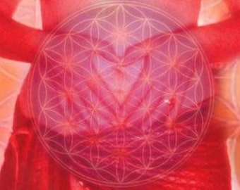 15 min*Ancestral Tie Psychic Reading & a 30 min*Energetic WombWork Trauma Healing Session (CRYSTAL NOT INCLUDED) by Luminous Perceptions