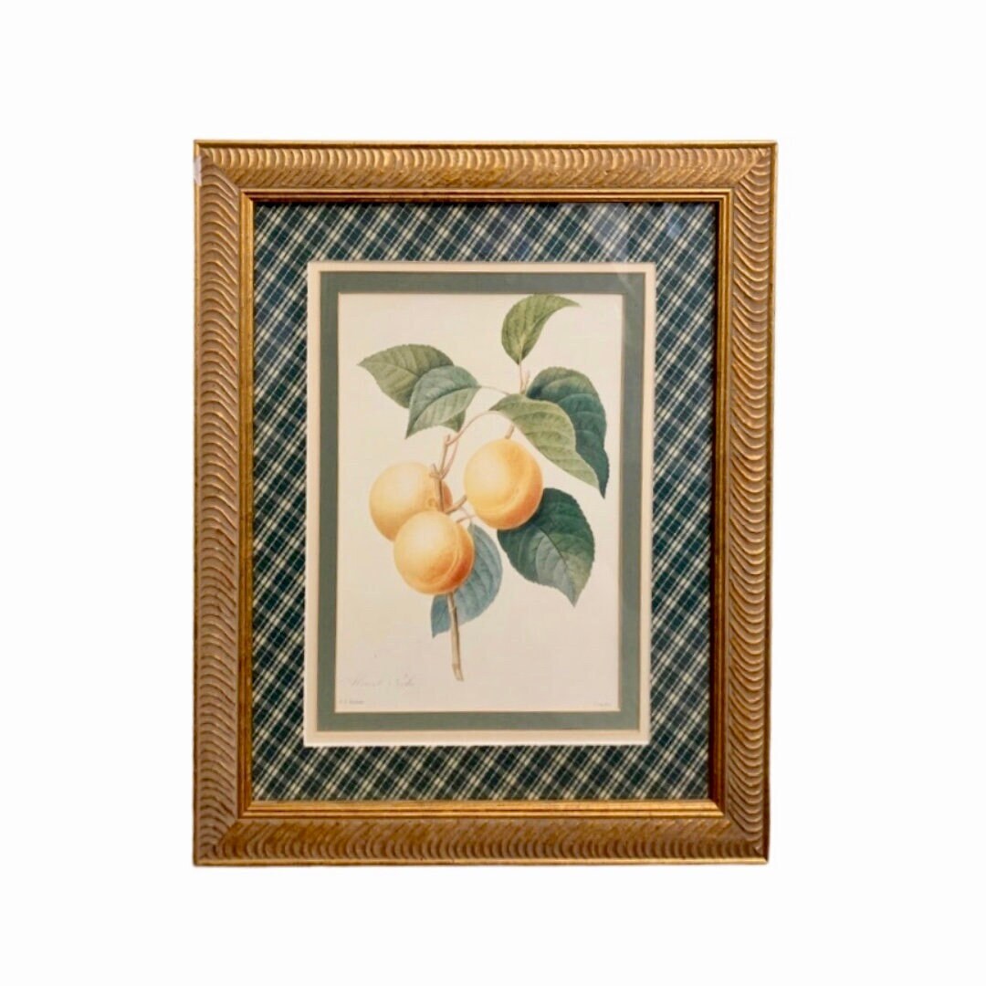 Vintage Framed French Botanical Lithograph Abricot Peche By Etsy