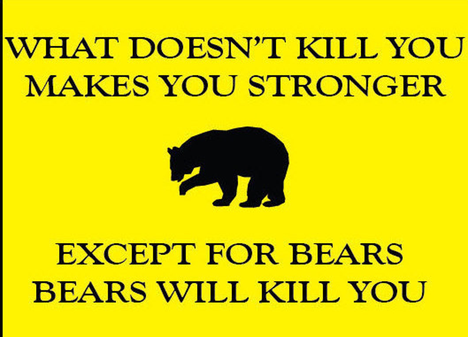 What Doesn T Kill You Makes You Stronger Except For Bears Etsy