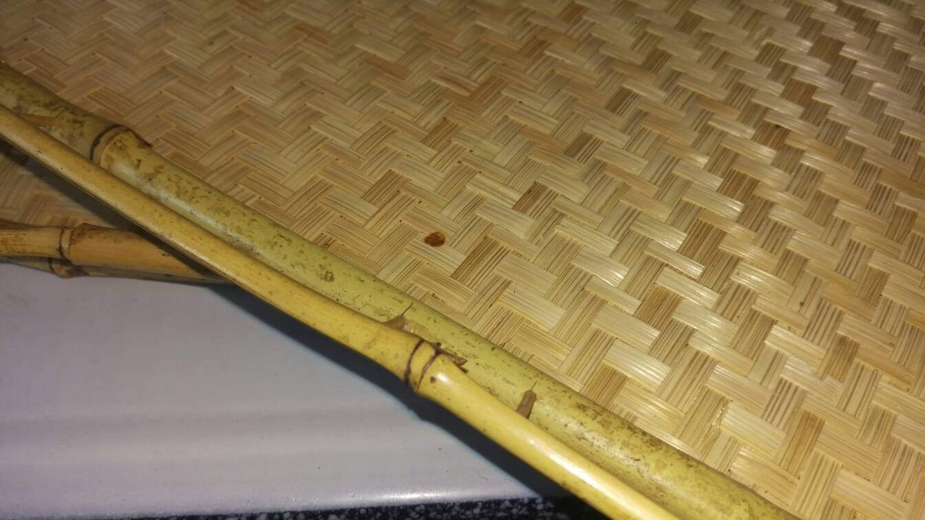 Large Natural Rattan Wicker Tiki Bamboo TV Dinner Lap Trays Set of 5