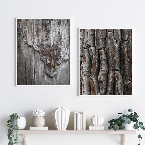 Photographs of Tree Bark Etsy