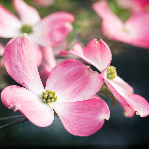 Navy Pink Bedroom Etsy