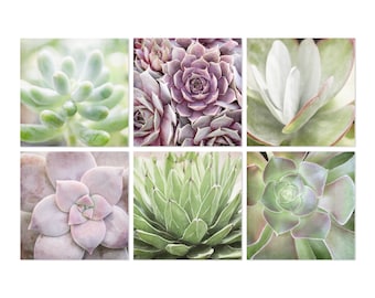 Succulent Wall Art, Set of 6 Succulent Photographs, Botanical Wall Gallery, Succulent Canvas Art, Green and Lavender Succulent Print Set