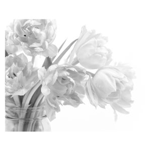 Tulip Canvas Art Print, Black and White Tulip Photography Print, Floral Still Life, Flower Wall Art, Tulip Print, Gray Wall Decor