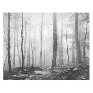 Black and White Foggy Trees Art Print or Canvas, Smoky Mountain National Park Wall Art, Trees in Fog, Foggy Landscape, Tree Photography