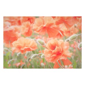 Poppy Flowers Canvas Wall Art: Master Bedroom Floral Decor