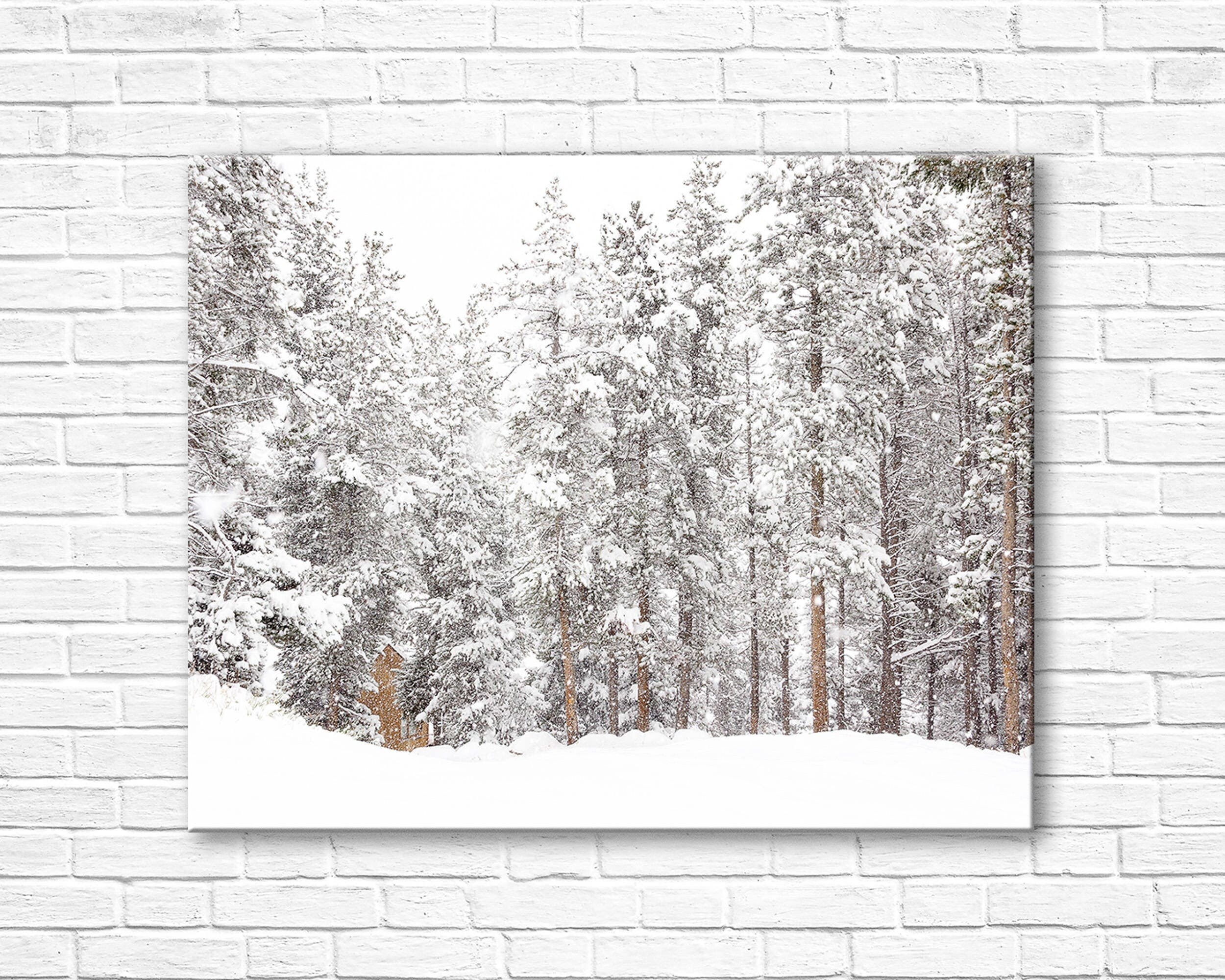 Winter Art, Winter Tree Photograph, Rustic Country Home Decor, Snowy