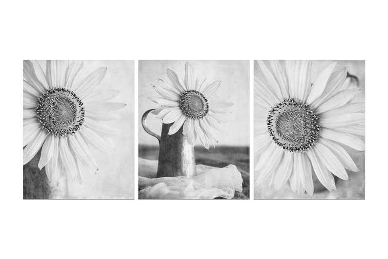 Sunflower Print Set or Canvas Art Set of 3 Black and White Etsy