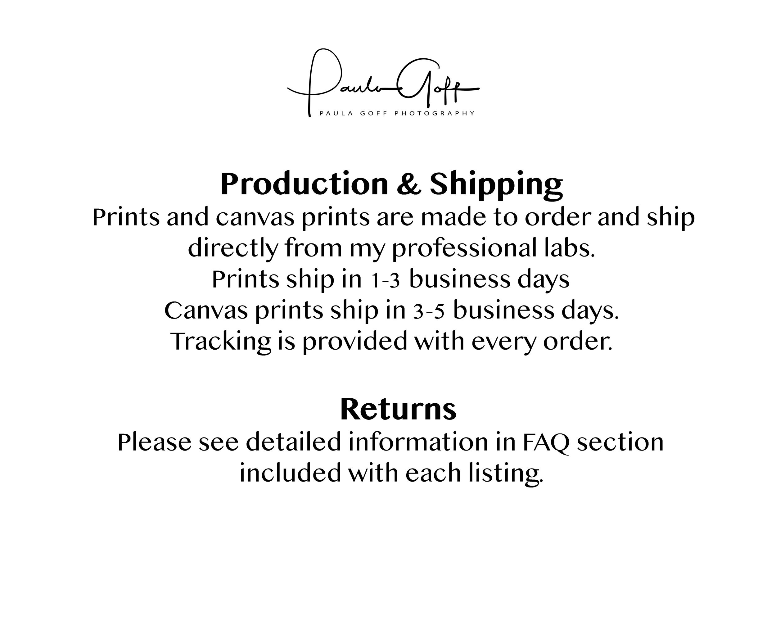 Flower Wall Art, Pink Flower Print or Canvas Art, Bedroom Art, Bathroom