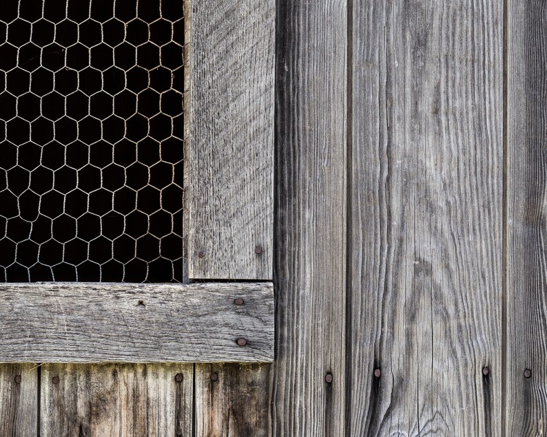 Chicken Prints for Farmhouse Kitchen Wall Art Set of 4 Prints Etsy