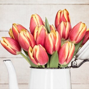 Country Kitchen Art, Tulips Wall Art Print or Canvas Art, Farmhouse Kitchen Decor, Tulip Print, Flowers Wall Art for Farmhouse Decor