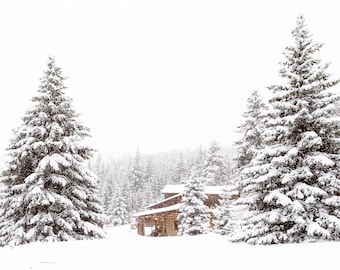 May include: A wooden cabin with a snow-covered roof sits in a snowy forest. Two tall evergreen trees stand on either side of the cabin, also covered in snow.