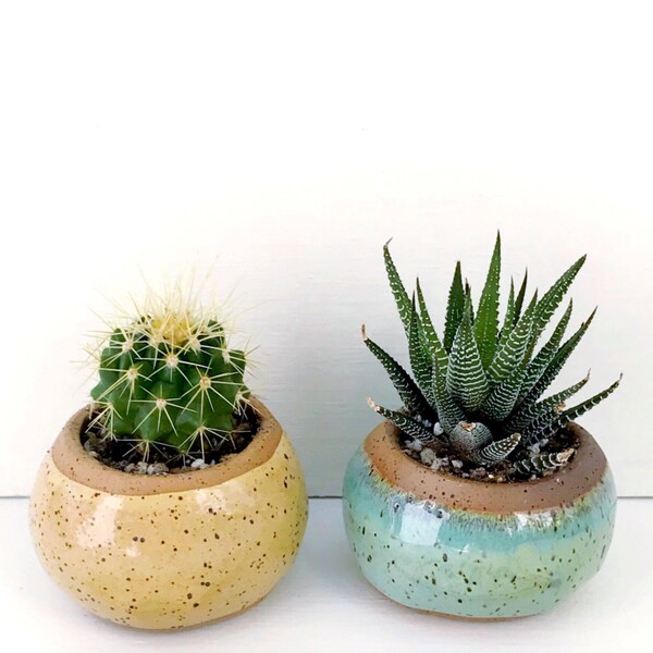 Mint Green Keramische Plantenbak / Kleine Pot voor Vetplanten, Cactus of Air Plants / The Knoll Planter / READY TO SHIP