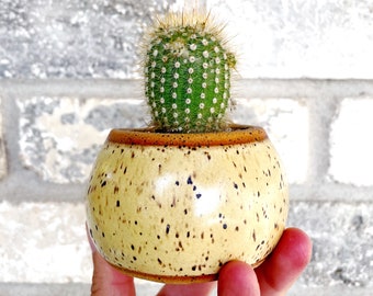 Small Yellow Pot for Succulents, Cactus or Air Plants / Yellow Ceramic Planter / The Knoll Planter / READY TO SHIP