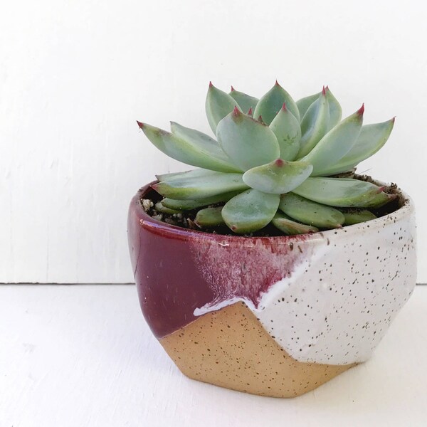 Ceramic Planter Purple / Pottery for Succulents, Cacti or House Plants / Succulent Pot / The Mauna Planter / READY TO SHIP