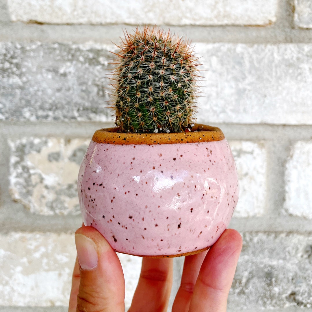 Pink Ceramic Planter / Modern Planter Pottery / Mini Planter