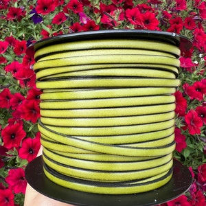 May include: A spool of olive green leather cord. The cord is tightly wound on a black plastic spool. The edges of the cord are black. The background is a vibrant display of red flowers.