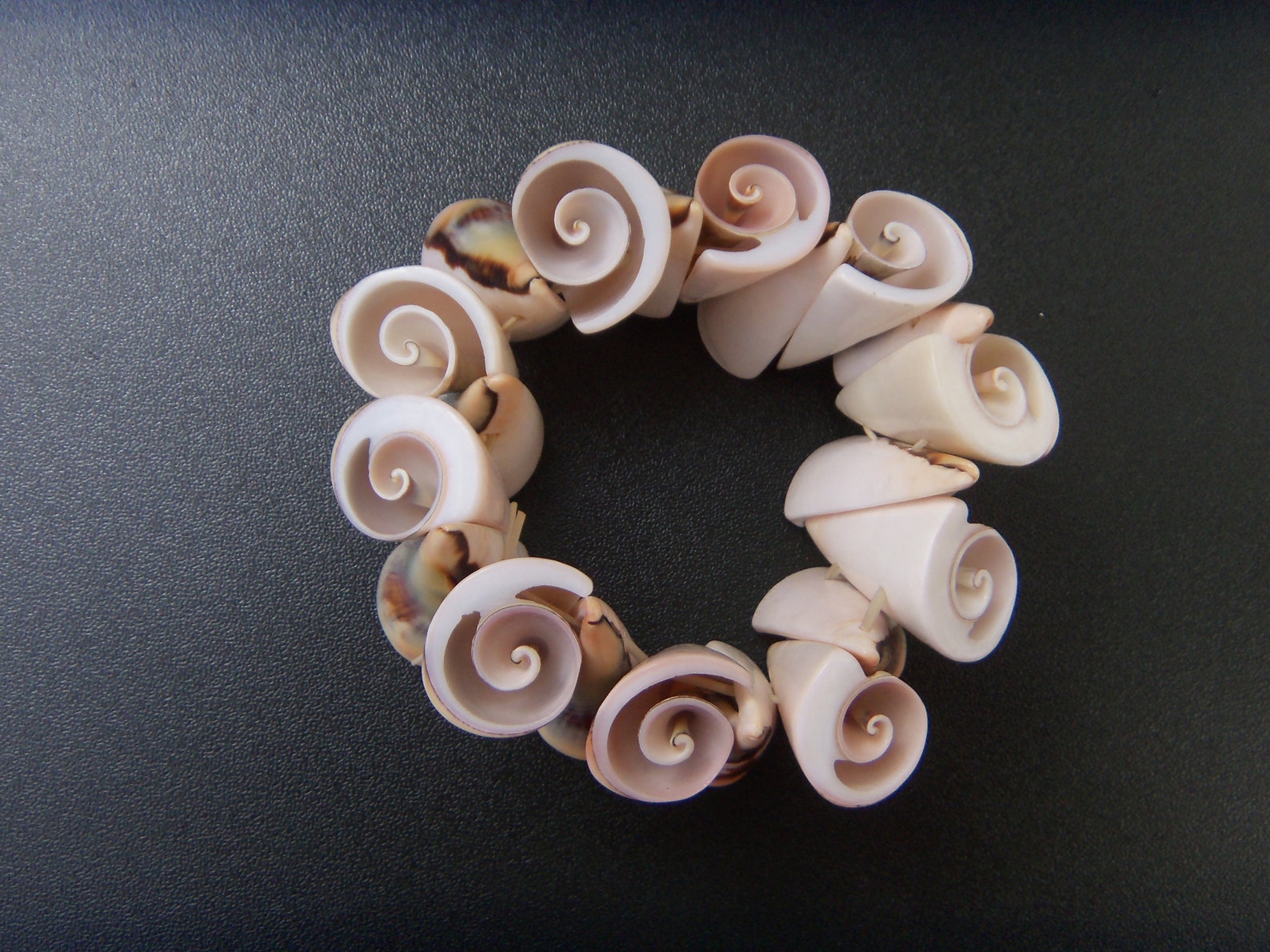 seashell loop