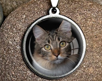 May include: A silver chain necklace with a round pendant featuring a close-up photo of a tabby cat with green eyes.