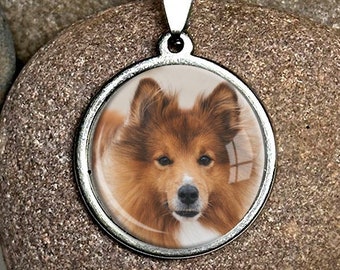 May include: A silver necklace with a round pendant featuring a close-up photo of a brown and white Collie dog.