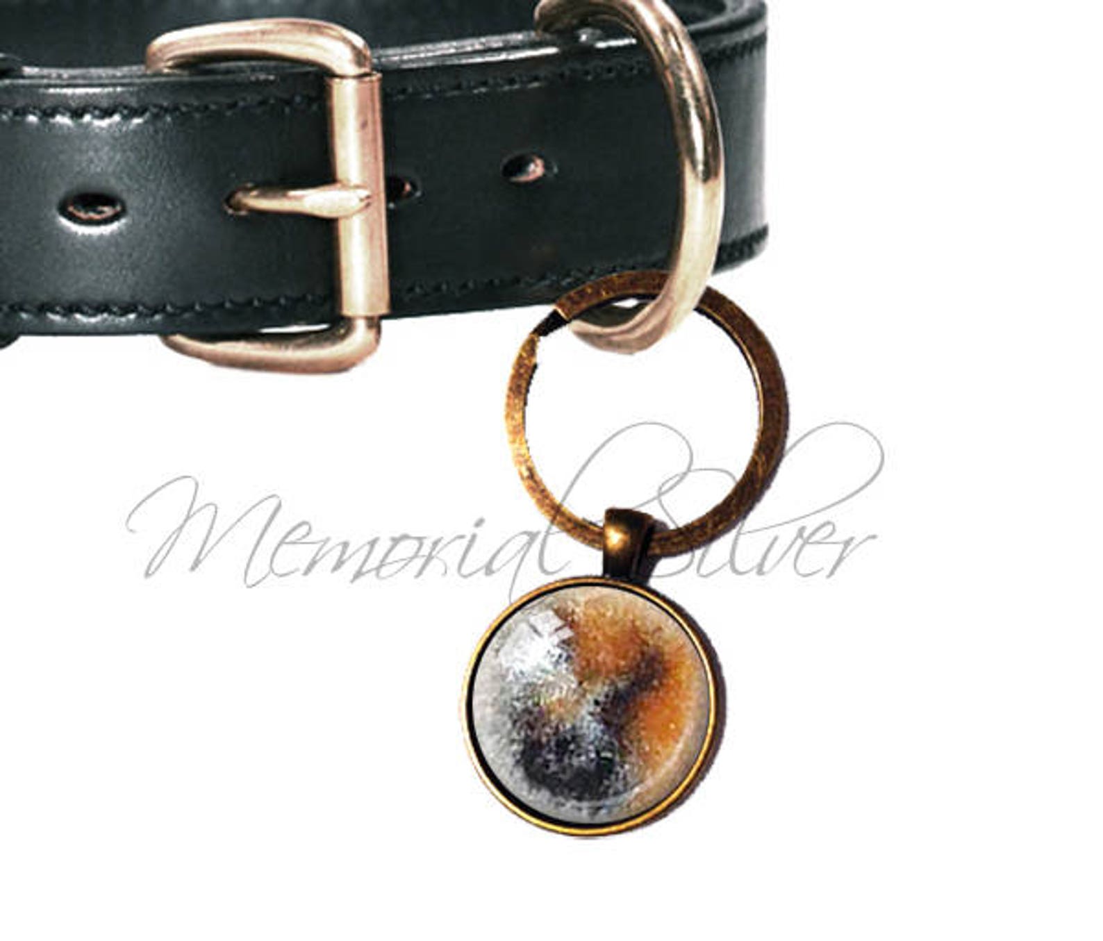 DOG COLLAR PENDANT Memorial Ashes Pendant Cremation Ashes Etsy