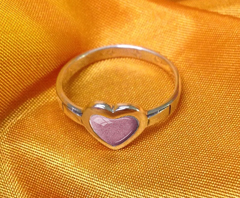 PET CREMATION RING 925 Sterling Silver Dog Cremation Ashes Ring Cat ...