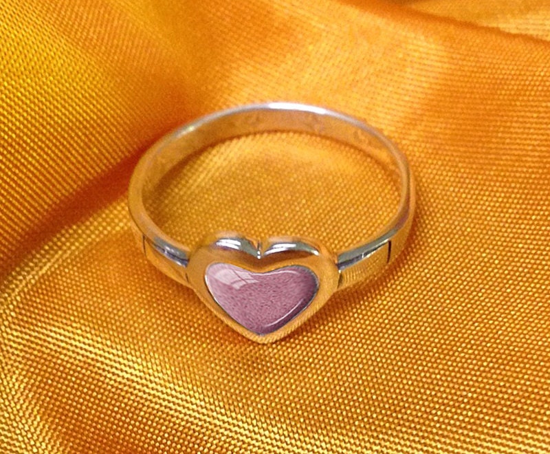 PET CREMATION RING 925 Sterling Silver Dog Cremation Ashes Ring Cat