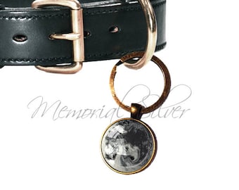 Pet Memorial Ashes Pendant for Dog Collar: Heaven Stone