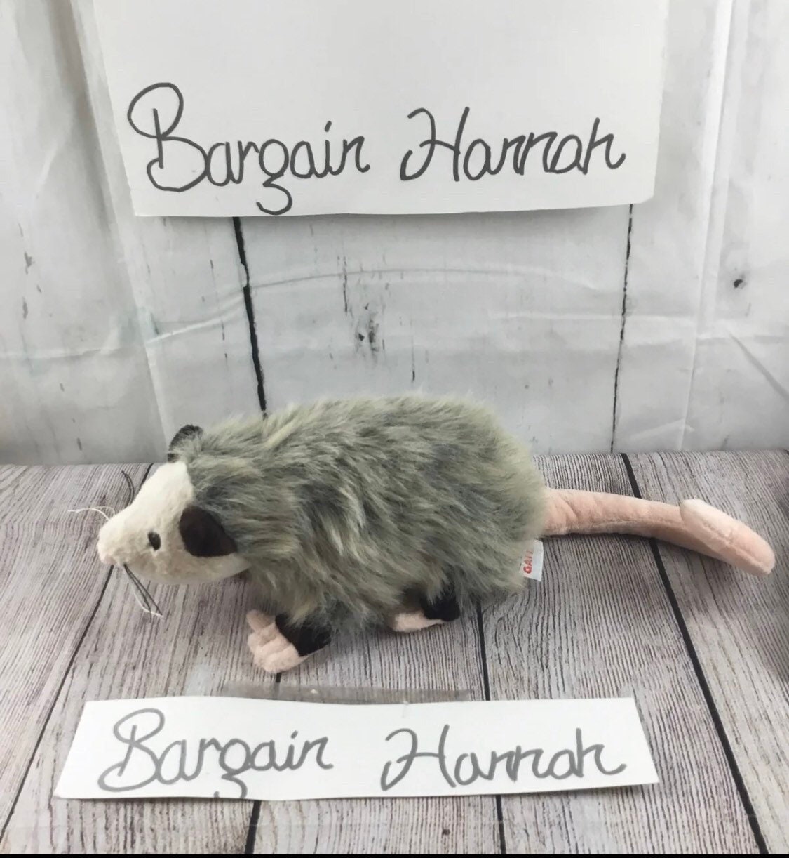 opossum webkinz
