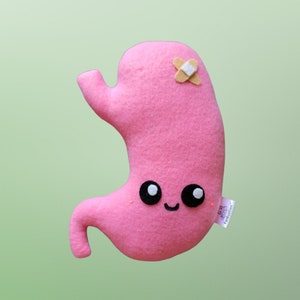 Kawaii Stomach Plush, Cute Organ Pillow, Body Anatomy, Gastric Bypass, Handmade