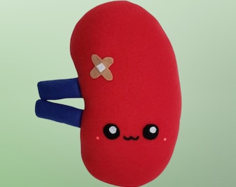 Cute Kawaii Kidney Plush, Organ Plush, Made to order, Kidney Surgery