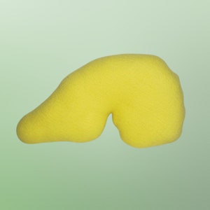 Kawaii Pancreas Plush, Cute Organ Pillow, Diabetic Comfort, Handmade - Etsy