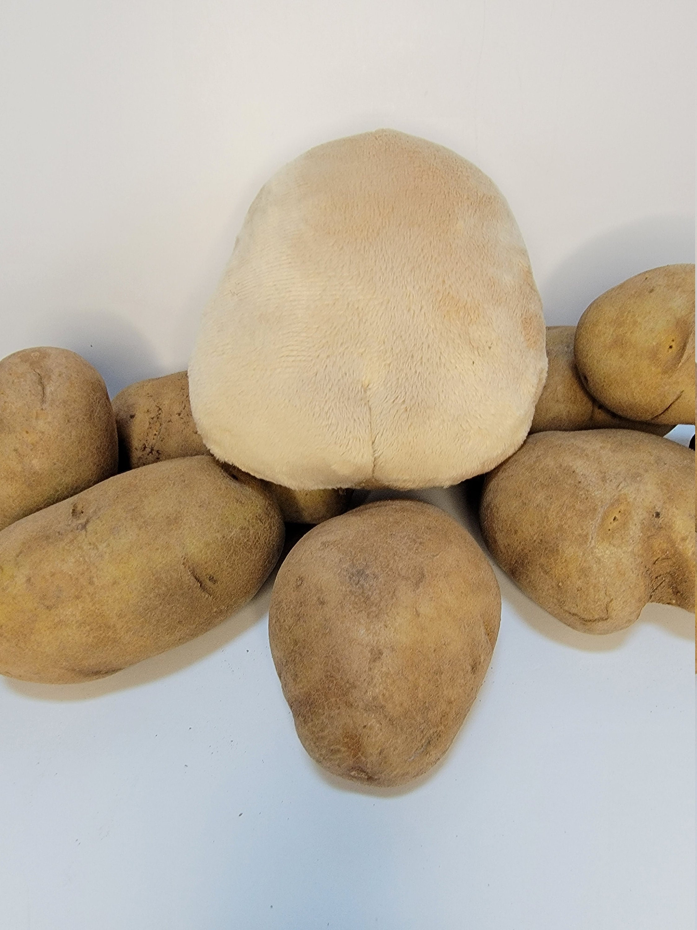 LuLezon Kawaii Potato Plush Soft Toy Comfort Food Stuffed Pillow Plushie  (Med