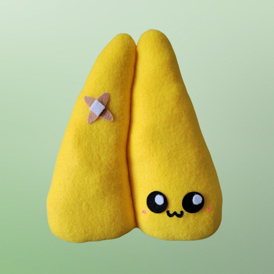 Kawaii Thymus Plush, Cute Organ Pillow, Body Anatomy, Handmade, Comfort ...