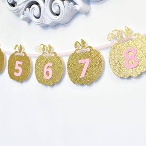 Pink and Gold Milestone, Monthly Photo, First Year, Pumpkins, Birthday Party Decor, Photo Prop image 2