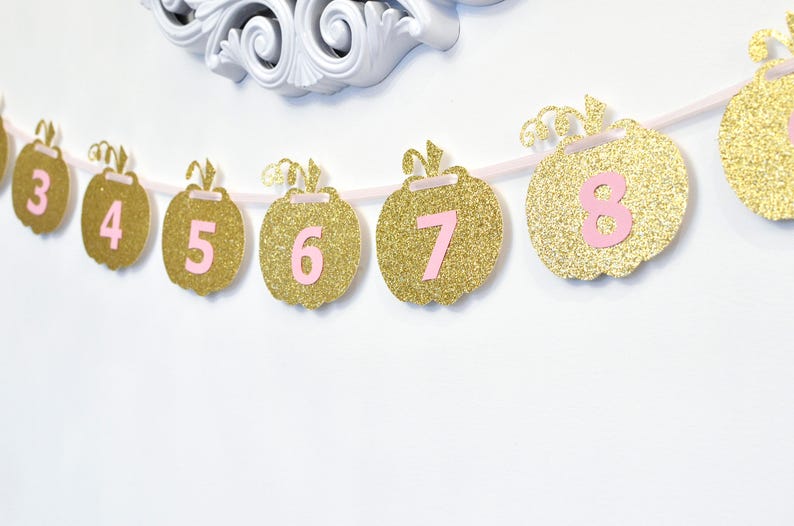 Pink and Gold Milestone, Monthly Photo, First Year, Pumpkins, Birthday Party Decor, Photo Prop image 2