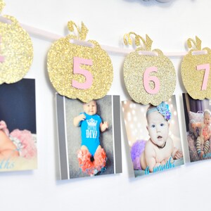 Pink and Gold Milestone, Monthly Photo, First Year, Pumpkins, Birthday Party Decor, Photo Prop image 1