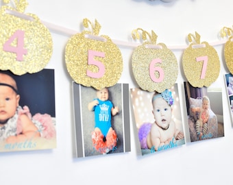 Pink and Gold Milestone, Monthly Photo, First Year, Pumpkins, Birthday Party Decor, Photo Prop