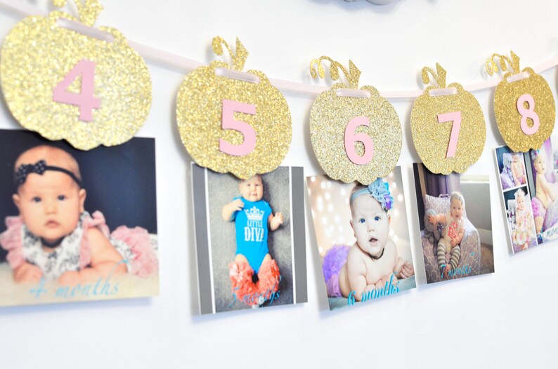 Pink and Gold Milestone, Monthly Photo, First Year, Pumpkins, Birthday Party Decor, Photo Prop image 1