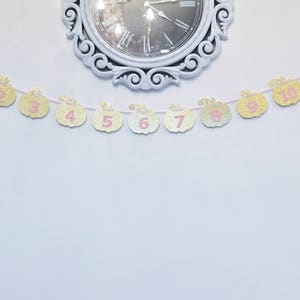 Pink and Gold Milestone, Monthly Photo, First Year, Pumpkins, Birthday Party Decor, Photo Prop image 3